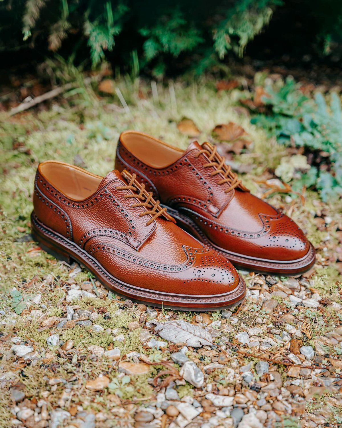 Brown leather brogue shoes resting on mossy ground with green plants in the background.